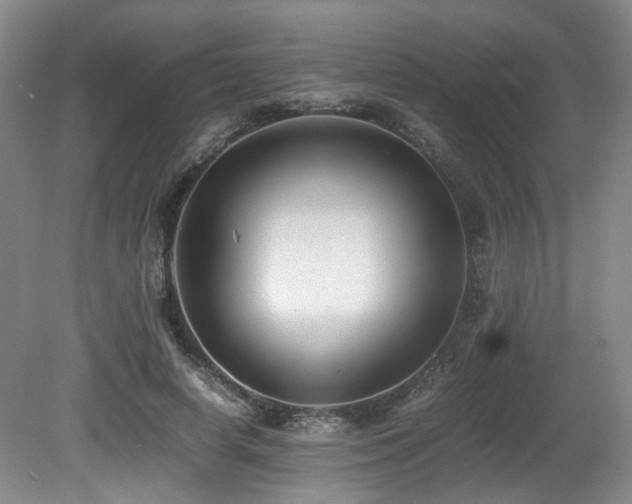 X0000081590642200701151310