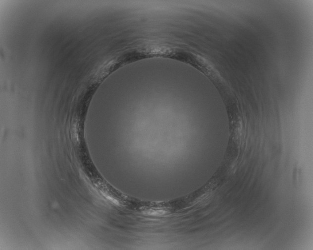 X0000081590643200701151310