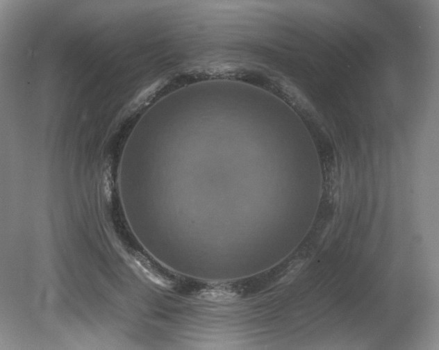 X0000081590644200701151310
