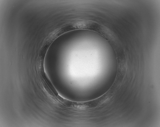 X0000081590645200701151310
