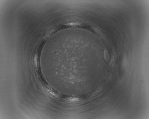 X0000081590651200701151310