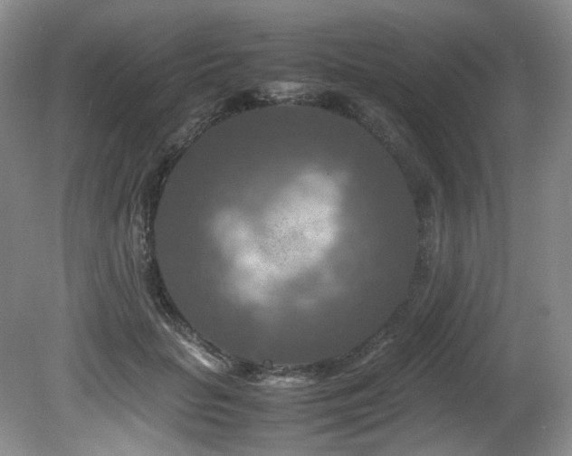 X0000081590653200701151310