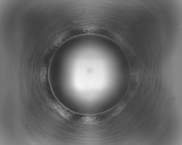 X0000081590660200701151310