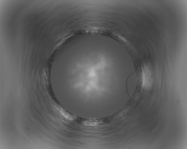 X0000081590661200701151310