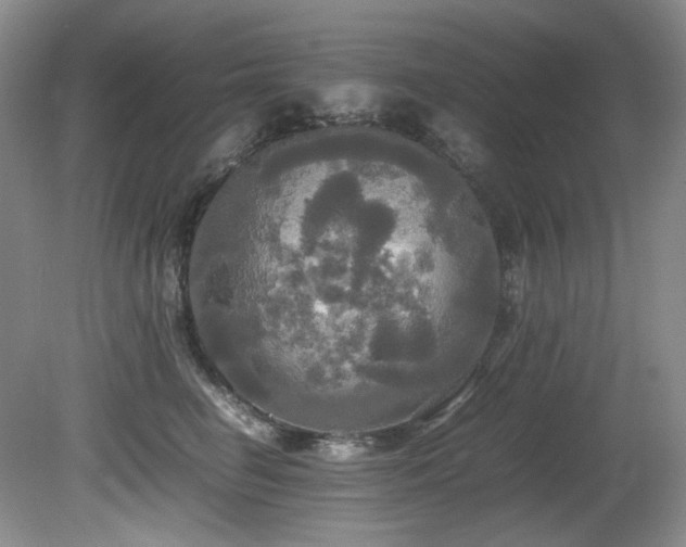 X0000081590662200701151310