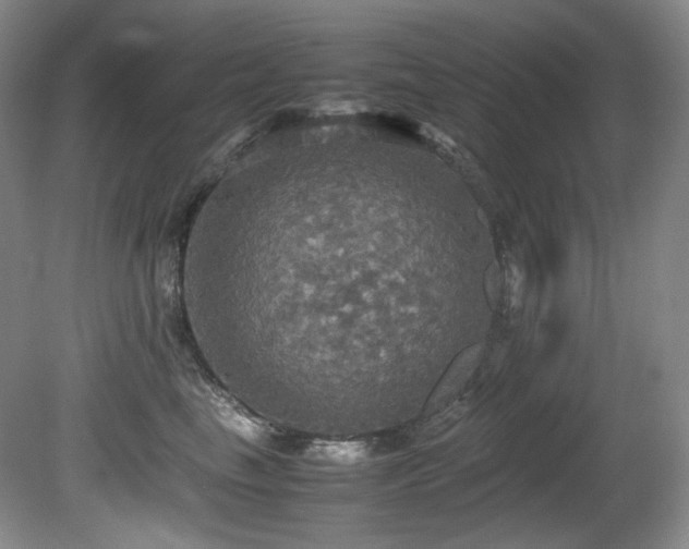X0000081590665200701151310