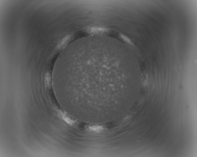 X0000081590669200701151311