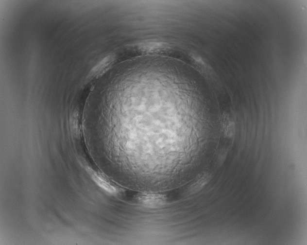 X0000081590670200701151311