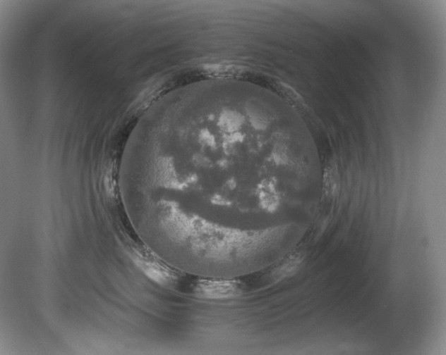X0000081590671200701151311
