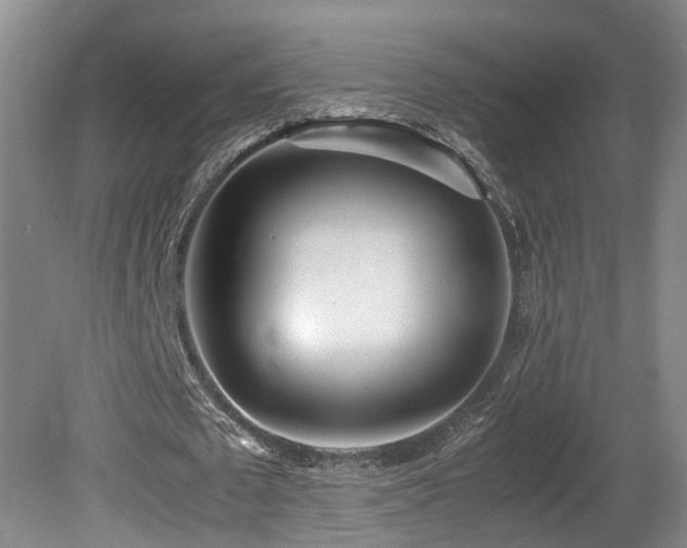 X0000081590673200701151310