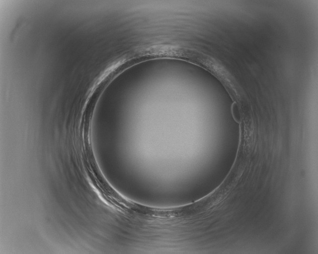 X0000081590674200701151310