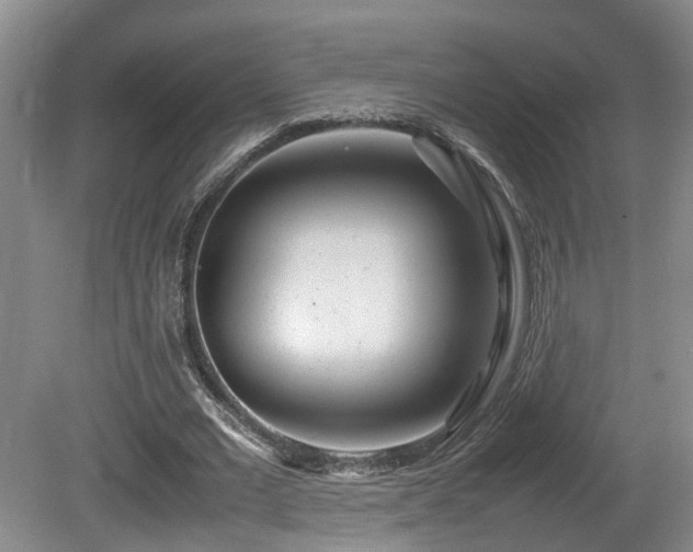 X0000081590677200701151310