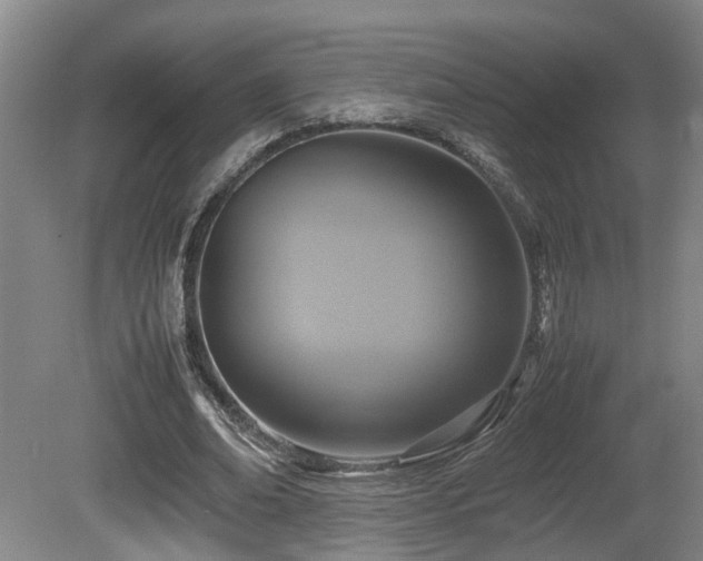 X0000081590678200701151310