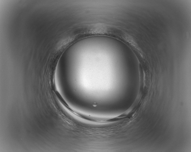 X0000081590681200701151310