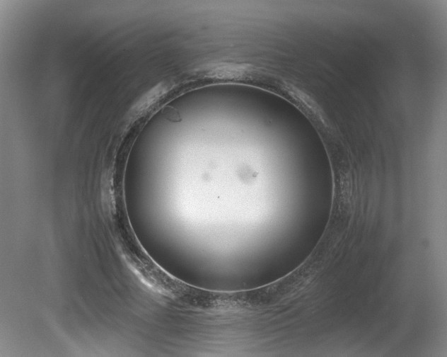 X0000081590682200701151310