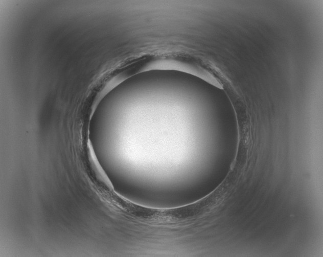 X0000081590685200701151310
