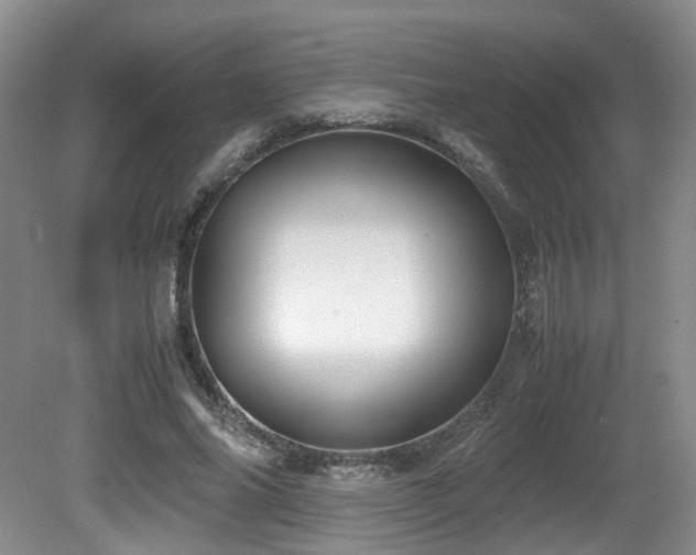 X0000081590686200701151310