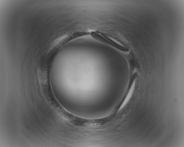 X0000081590689200701151309