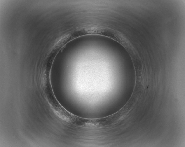 X0000081590690200701151309