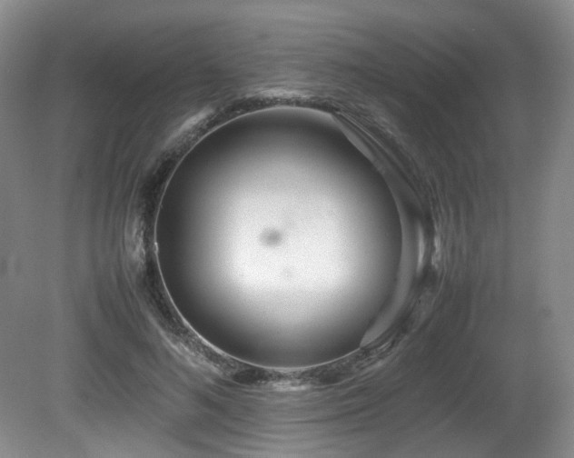X0000081590692200701151309