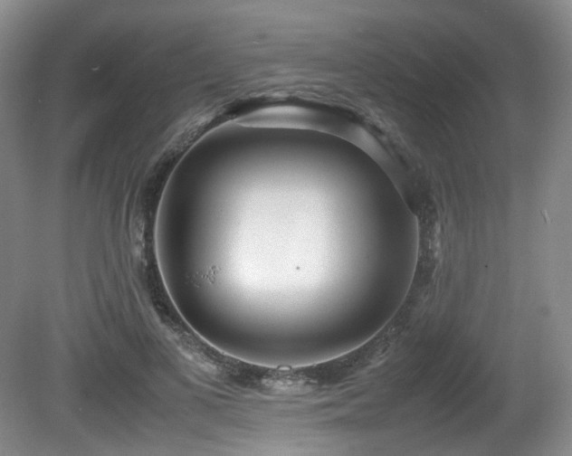 X0000081590693200701151309