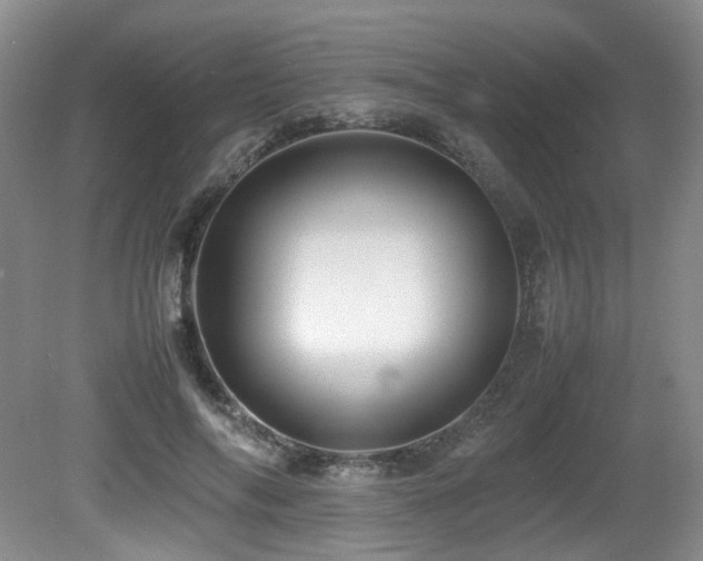 X0000081590694200701151309