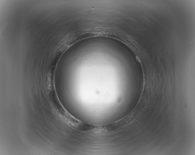 X0000081590696200701151309