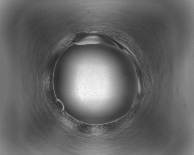 X0000081590697200701151309