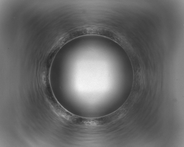 X0000081590698200701151309