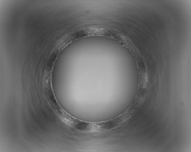 X0000081590701200701151309