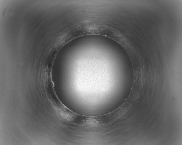 X0000081590702200701151309