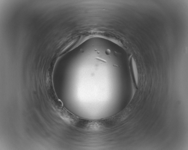 X0000081590704200701151309