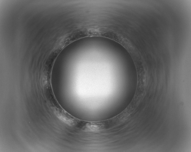X0000081590706200701151309