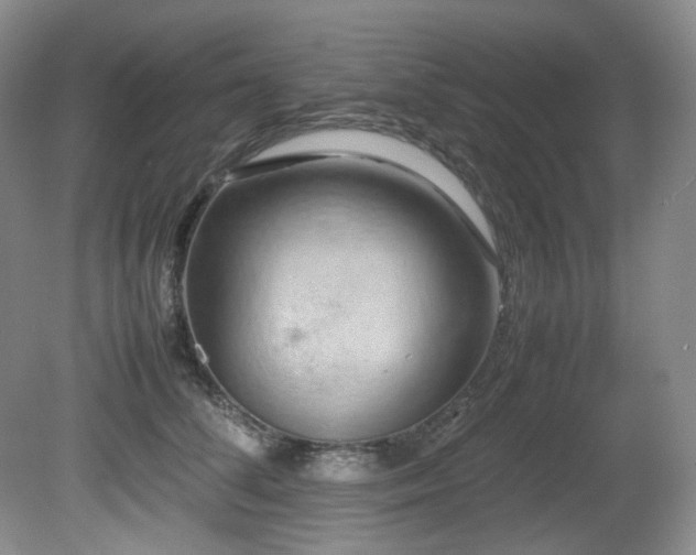 X0000081590708200701151309