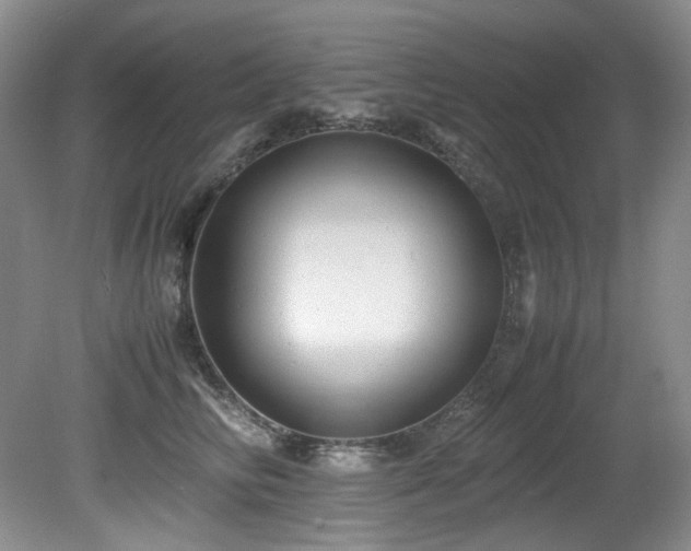 X0000081590710200701151309