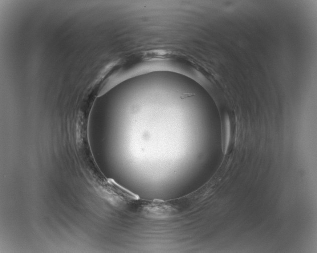 X0000081590712200701151309