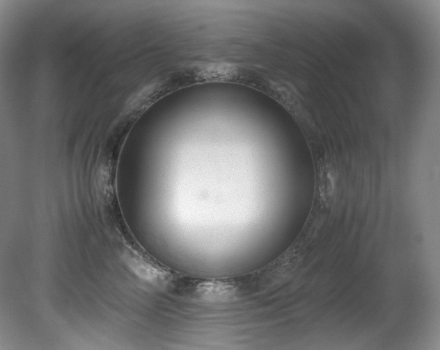 X0000081590714200701151309