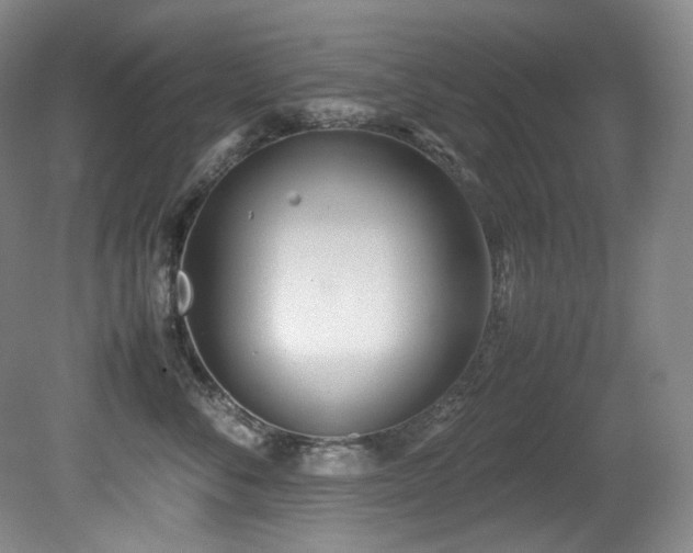 X0000081590716200701151309
