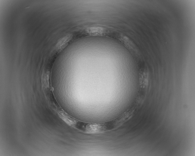 X0000081590717200701151309