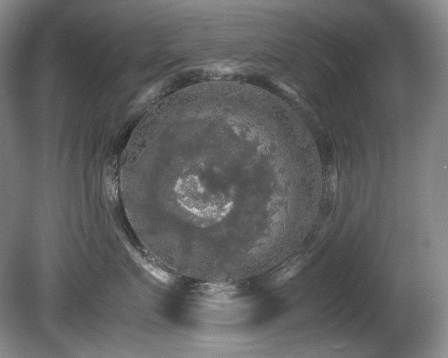 X0000081590719200701151309