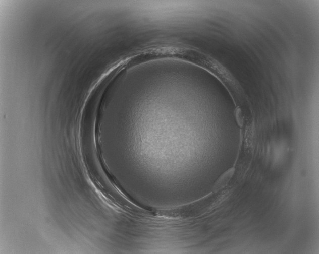 X0000081590722200701151308