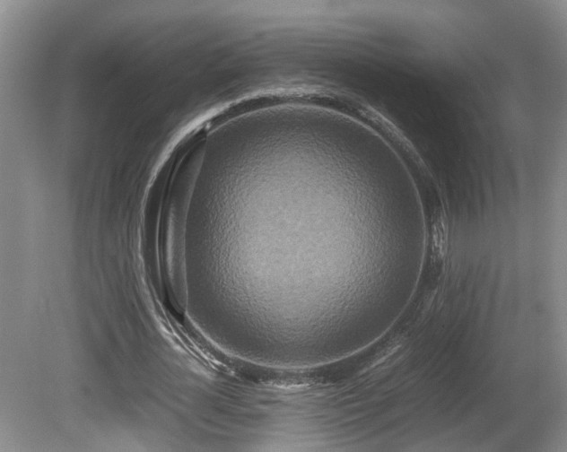 X0000081590724200701151308