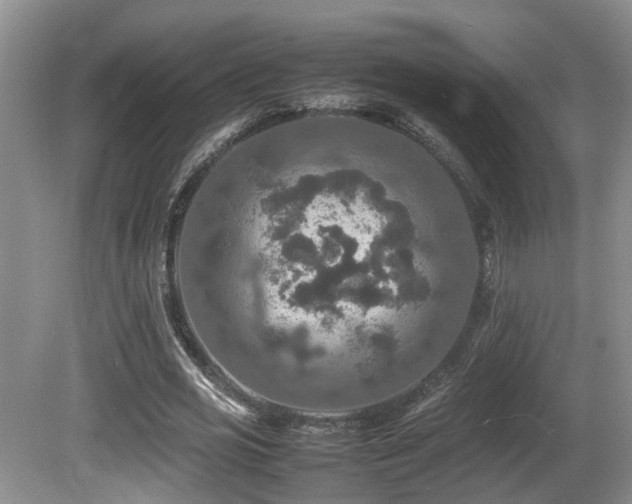 X0000081590725200701151308