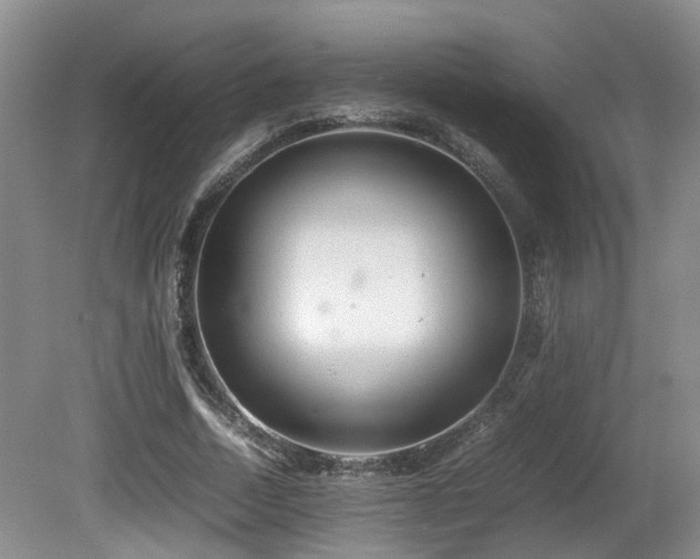 X0000081590730200701151308