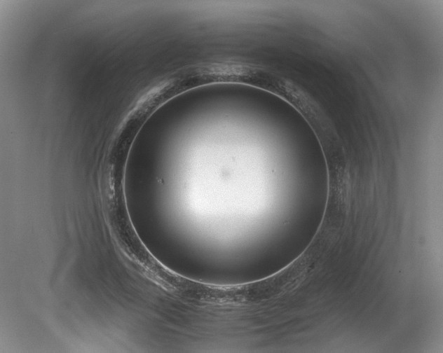 X0000081590731200701151308