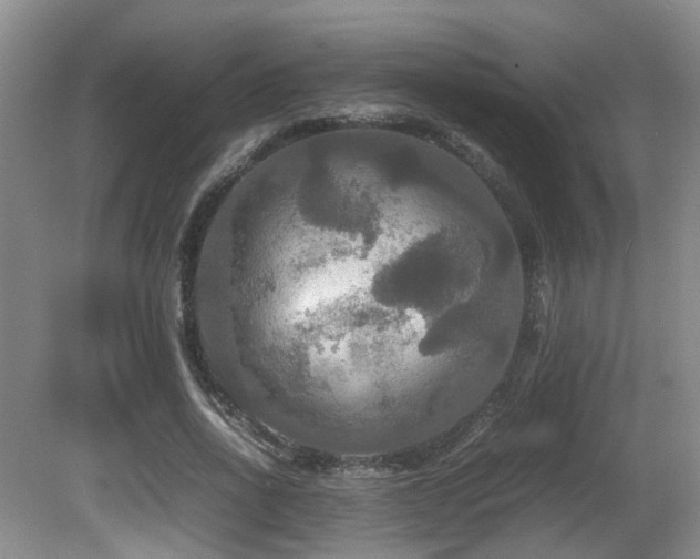 X0000081590734200701151308