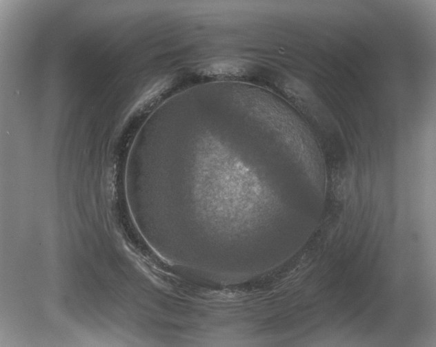 X0000081590735200701151308