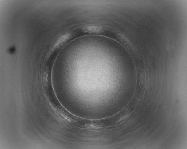 X0000081590739200701151308