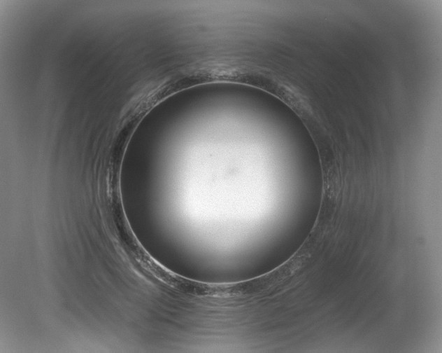X0000081590740200701151308