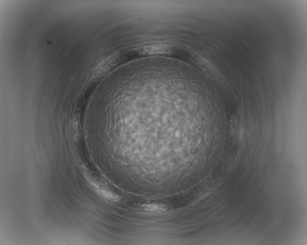 X0000081590741200701151308
